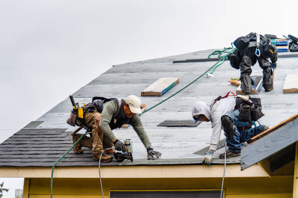 Professional Storm Damage Roof Repair technician working in Larkspur, CO